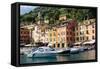 Marina, Portofino, Liguria, Italy, Europe-Peter Groenendijk-Framed Stretched Canvas