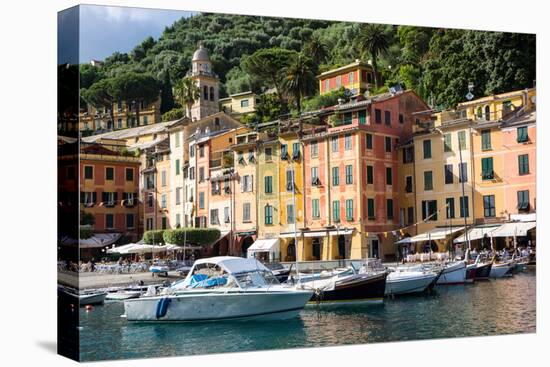 Marina, Portofino, Liguria, Italy, Europe-Peter Groenendijk-Stretched Canvas