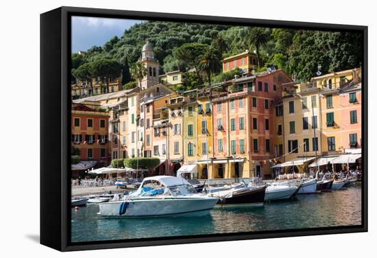 Marina, Portofino, Liguria, Italy, Europe-Peter Groenendijk-Framed Stretched Canvas