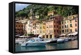 Marina, Portofino, Liguria, Italy, Europe-Peter Groenendijk-Framed Stretched Canvas