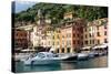 Marina, Portofino, Liguria, Italy, Europe-Peter Groenendijk-Stretched Canvas