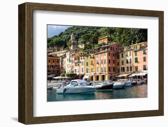 Marina, Portofino, Liguria, Italy, Europe-Peter Groenendijk-Framed Photographic Print