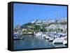 Marina, Puerto Rico, Gran Canaria, Canary Islands-Peter Thompson-Framed Stretched Canvas