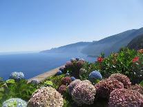 Wonderful Sea View on Maderia-Marina Roos-Photographic Print