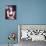 Marina Sirtis-null-Mounted Photo displayed on a wall