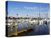 Marina, St. Petersburg, Gulf Coast, Florida, United States of America, North America-Jeremy Lightfoot-Stretched Canvas