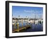 Marina, St. Petersburg, Gulf Coast, Florida, United States of America, North America-Jeremy Lightfoot-Framed Photographic Print