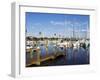 Marina, St. Petersburg, Gulf Coast, Florida, United States of America, North America-Jeremy Lightfoot-Framed Photographic Print