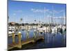 Marina, St. Petersburg, Gulf Coast, Florida, United States of America, North America-Jeremy Lightfoot-Mounted Photographic Print