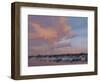 Marina Sunset-Jill Schultz McGannon-Framed Art Print