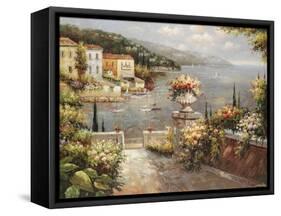 Marina Vista II-Peter Bell-Framed Stretched Canvas