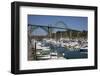 Marina with Pleasure Boats and Yaquina Bay Bridge, Newport, Oregon, USA-Jamie & Judy Wild-Framed Photographic Print