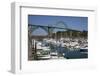 Marina with Pleasure Boats and Yaquina Bay Bridge, Newport, Oregon, USA-Jamie & Judy Wild-Framed Photographic Print