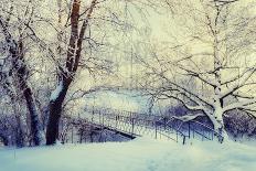 Winter Night Landscape Scene of Snow Covered Bench among Snowy Trees and Shining Lights during Snow-Marina Zezelina-Photographic Print