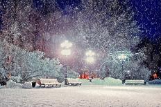 Winter Night Landscape Scene of Snow Covered Bench among Snowy Trees and Shining Lights during Snow-Marina Zezelina-Photographic Print