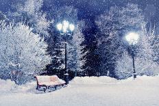 Winter Landscape of Snowy Tree Branches against Colorful Sky during the Snowfall with Free Space Fo-Marina Zezelina-Mounted Photographic Print