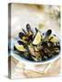Marinated Mussels-Ian Garlick-Stretched Canvas