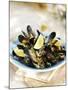 Marinated Mussels-Ian Garlick-Mounted Photographic Print