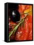 Marinated Sweet Peppers with Olives and Rosemary-Foodcollection-Framed Stretched Canvas