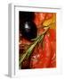 Marinated Sweet Peppers with Olives and Rosemary-Foodcollection-Framed Photographic Print