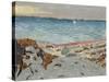 Marine, 1906-Edouard Vuillard-Stretched Canvas