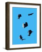 Marine Animals and Polar Bear Shot from Overhead-Eugenio Franchi-Framed Photographic Print