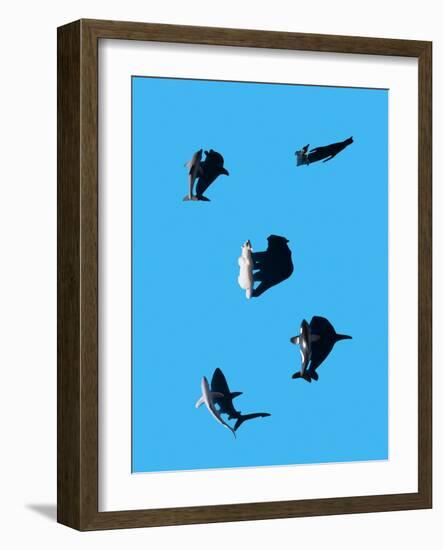 Marine Animals and Polar Bear Shot from Overhead-Eugenio Franchi-Framed Photographic Print