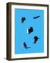 Marine Animals and Polar Bear Shot from Overhead-Eugenio Franchi-Framed Photographic Print