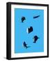 Marine Animals and Polar Bear Shot from Overhead-Eugenio Franchi-Framed Photographic Print