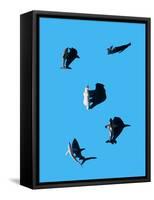 Marine Animals and Polar Bear Shot from Overhead-Eugenio Franchi-Framed Stretched Canvas