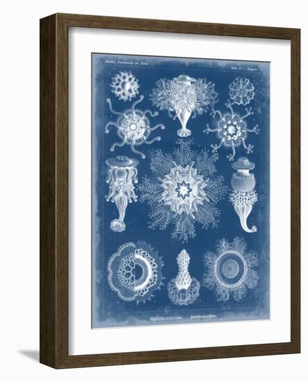 Marine Blueprint I-Vision Studio-Framed Art Print