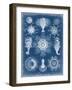 Marine Blueprint I-Vision Studio-Framed Art Print