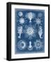 Marine Blueprint I-Vision Studio-Framed Art Print