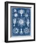 Marine Blueprint I-Vision Studio-Framed Art Print