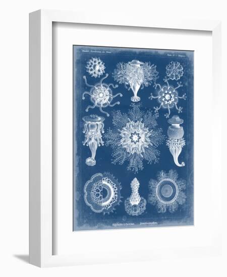 Marine Blueprint I-Vision Studio-Framed Art Print