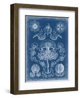 Marine Blueprint IV-Vision Studio-Framed Art Print