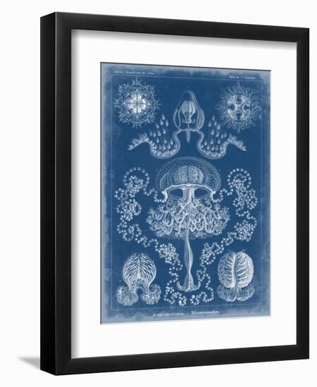 Marine Blueprint IV-Vision Studio-Framed Art Print