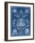 Marine Blueprint IV-Vision Studio-Framed Art Print