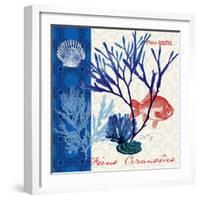 Marine Botanical-Devon Ross-Framed Art Print