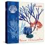 Marine Botanical-Devon Ross-Stretched Canvas