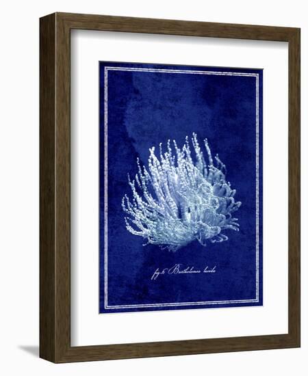 Marine Collection C-GI ArtLab-Framed Giclee Print