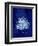 Marine Collection C-GI ArtLab-Framed Giclee Print