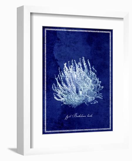 Marine Collection C-GI ArtLab-Framed Giclee Print