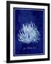 Marine Collection C-GI ArtLab-Framed Giclee Print