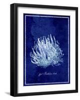 Marine Collection C-GI ArtLab-Framed Giclee Print