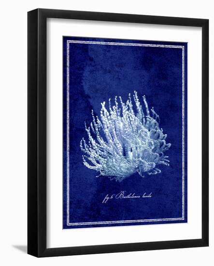 Marine Collection C-GI ArtLab-Framed Giclee Print