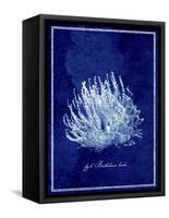 Marine Collection C-GI ArtLab-Framed Stretched Canvas