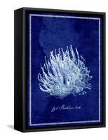 Marine Collection C-GI ArtLab-Framed Stretched Canvas