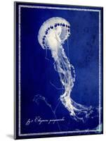 Marine Collection E-GI ArtLab-Mounted Giclee Print