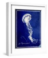 Marine Collection E-GI ArtLab-Framed Giclee Print